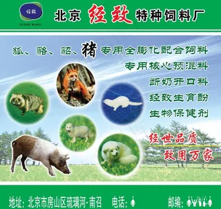 饲料图片
