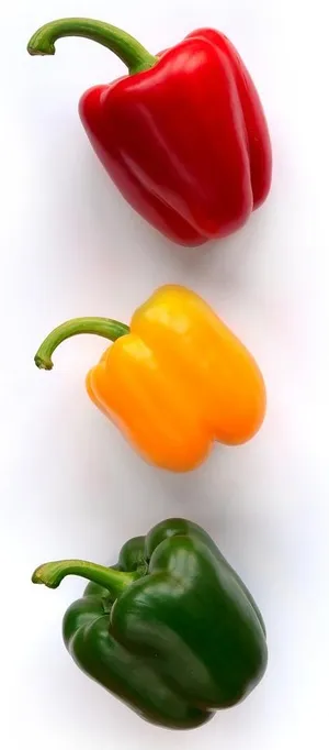 辣椒 灯笼椒图片 辣椒 灯笼椒图片