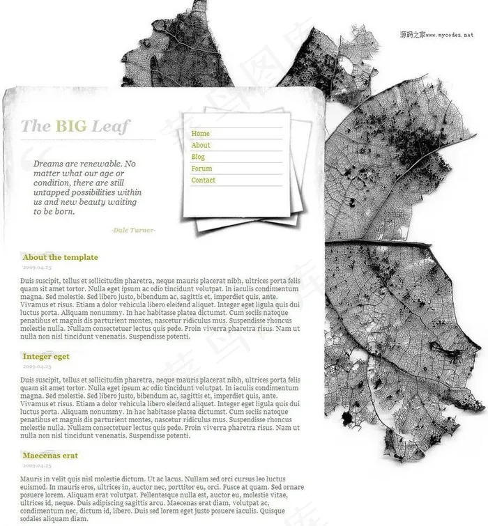 枯叶风格个人网站模板图片