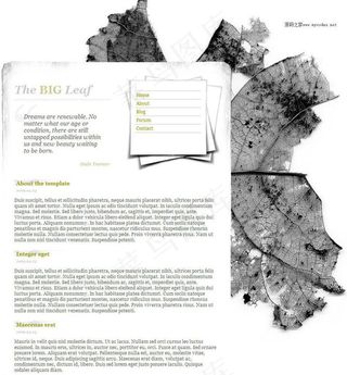 枯叶风格个人网站模板图片