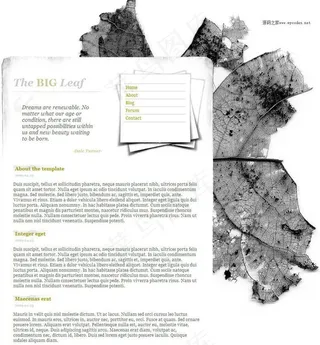 枯叶风格个人网站模板图片