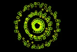 特色光效flash特效