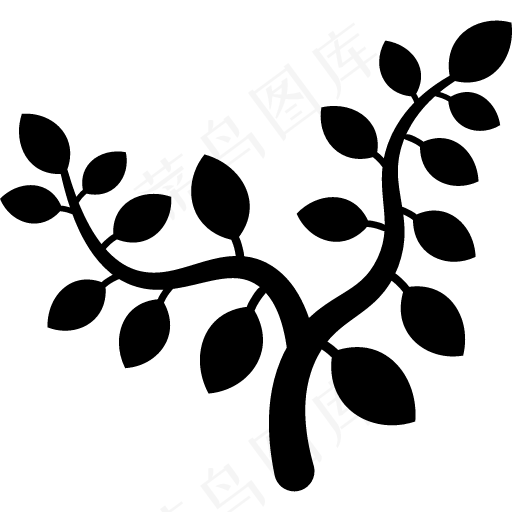 分支 叶子 树
