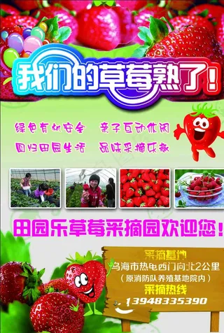 草莓采摘园图片