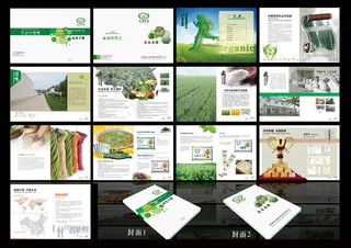 面条画册设计PSD素材