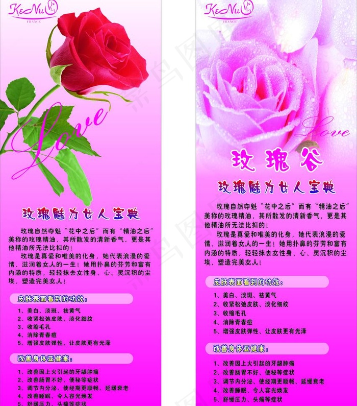 x展架 玫瑰花图片cdr矢量模版下载