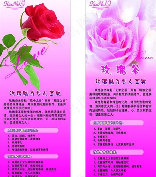 x展架 玫瑰花图片