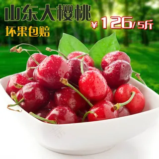 烟台樱桃主图PSD源文件主图下载