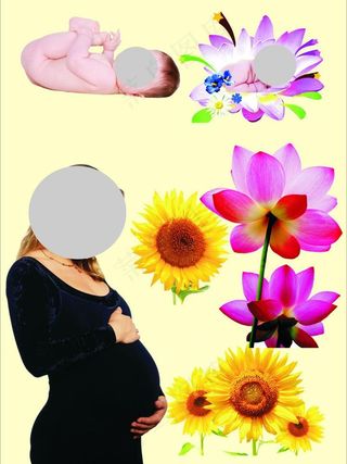 孕妇婴儿花图片