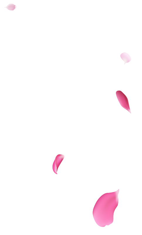 花瓣  漂浮元素