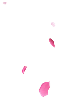 花瓣  漂浮元素