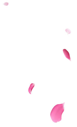 花瓣  漂浮元素