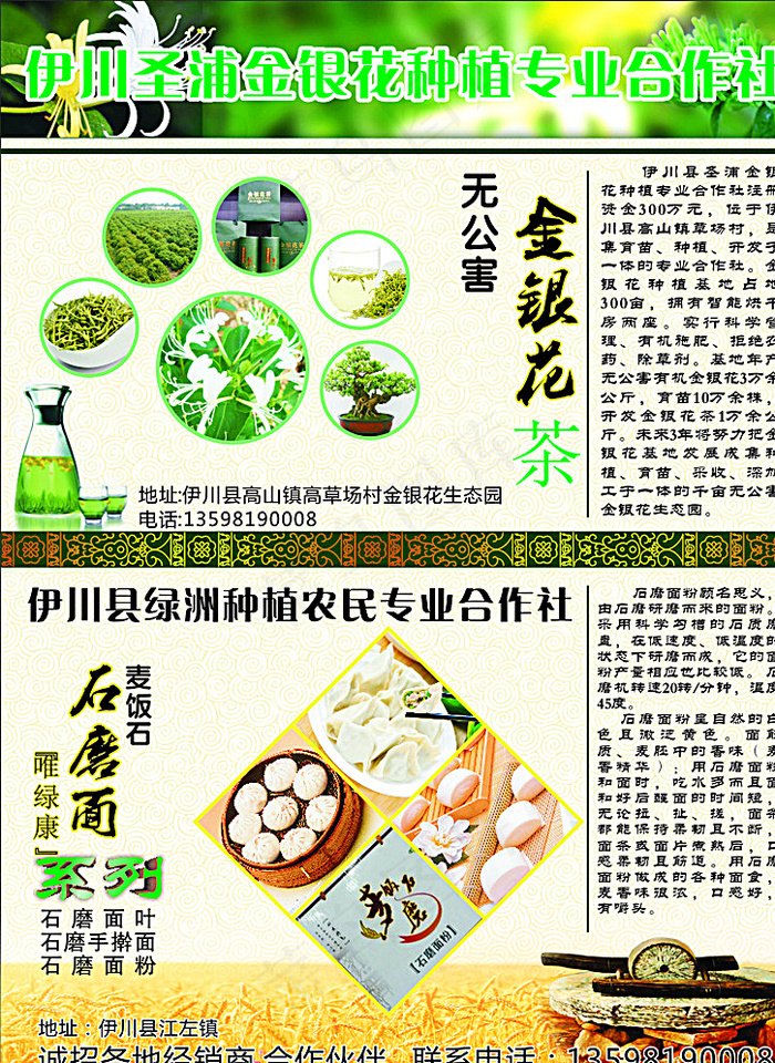 金银花 石磨面 商贸公司彩页图片(210X285)cdr矢量模版下载