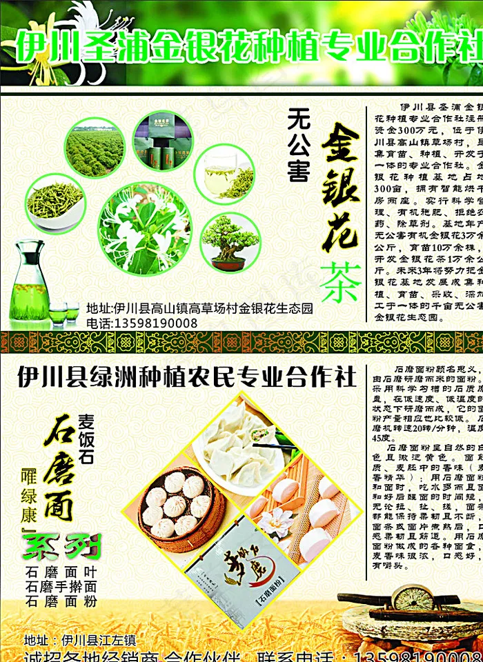 金银花 石磨面 商贸公司彩页图片(210X285)cdr矢量模版下载