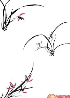 小草 小草