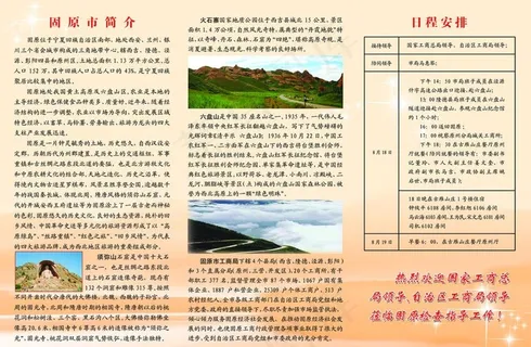 三折页 内页图片