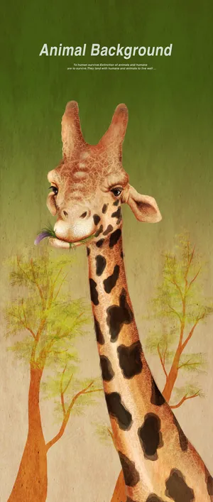 吃着草的长颈鹿背景