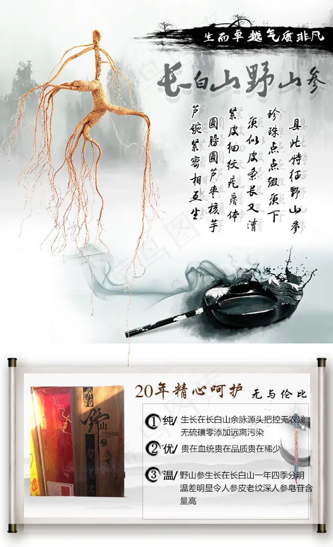 野山参详情页psd模版下载
