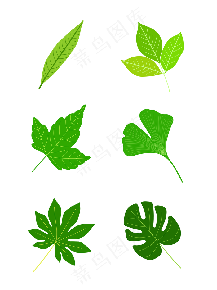 简约矢量小清新简笔画绿色树叶龟背叶