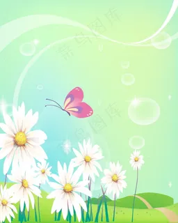 菊花蝴蝶 菊花蝴蝶