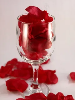 玫瑰花瓣图片 玫瑰花瓣图片