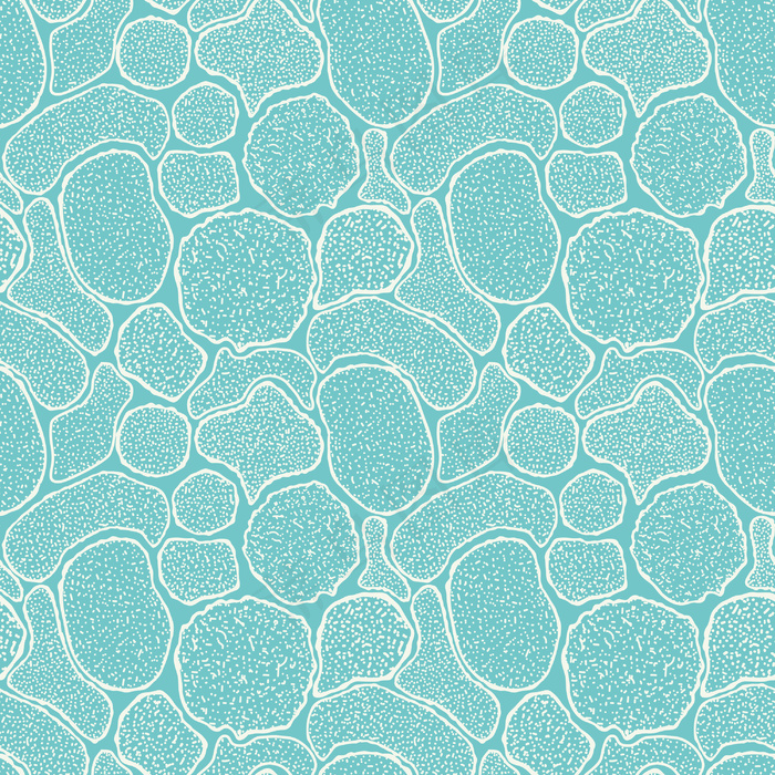 病毒细胞的无缝纹理