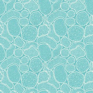 病毒细胞的无缝纹理