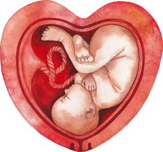 可爱水彩胎儿花卉PNG素材