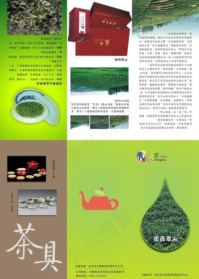 茶叶折页图片(291X432)cdr矢量模版下载