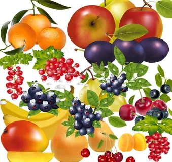 水果集图片 水果集图片