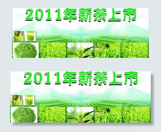 新茶上市图片