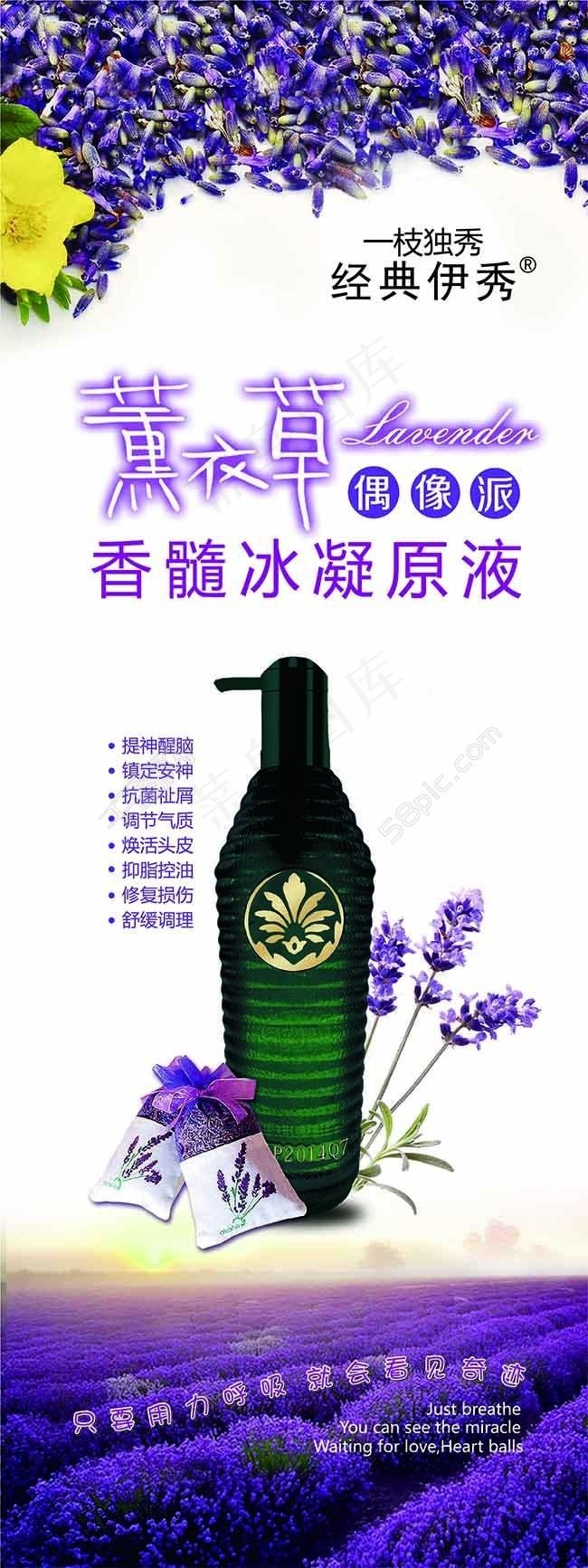 薰衣草展架ai矢量模版下载