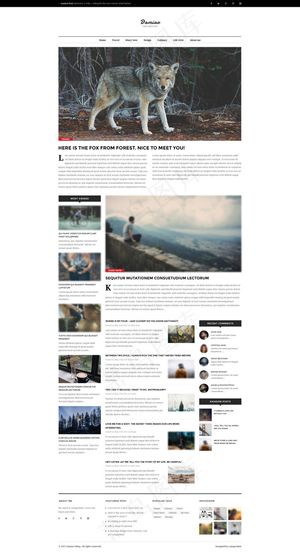 杂志网站设计图图片