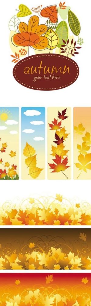 精美秋叶树叶矢量素材