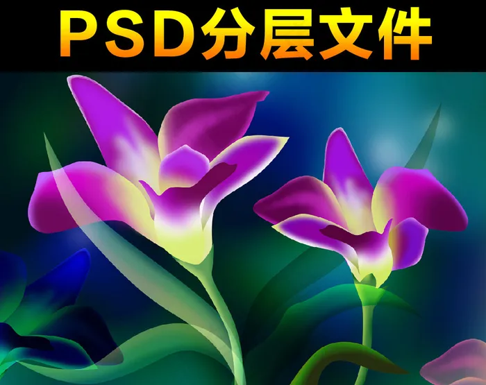 花朵素材分层大图psd模版下载
