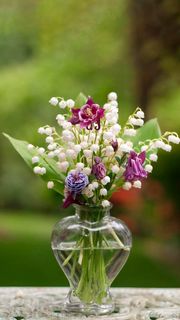 玻璃瓶与花高清摄影图片