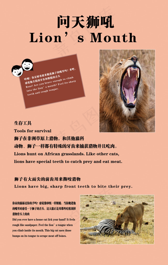 狮子科普牌(6142X9685(DPI:300))psd模版下载