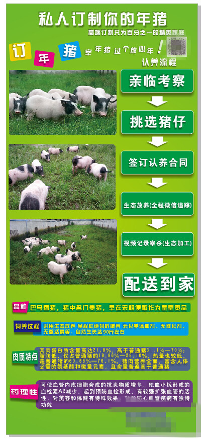 生态养生猪展架模版cdr矢量模版下载