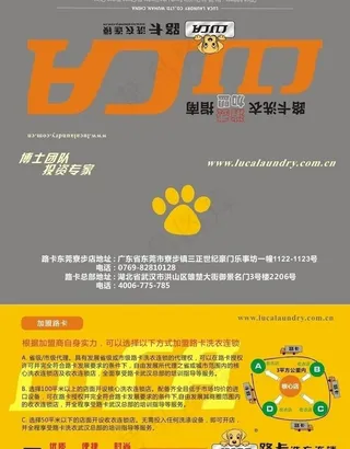 路卡洗衣宣传单图片