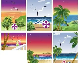 海滩，海鸥，椰子，饮料的海滩