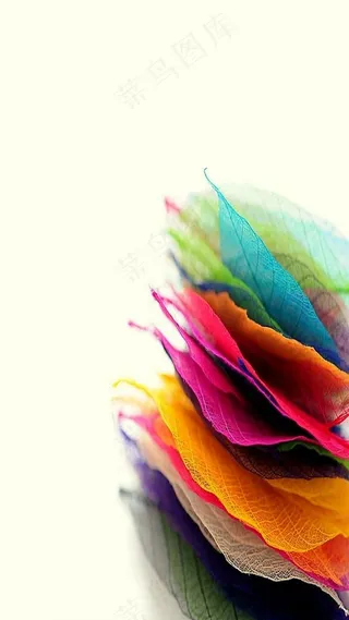 炫彩彩色树叶背景