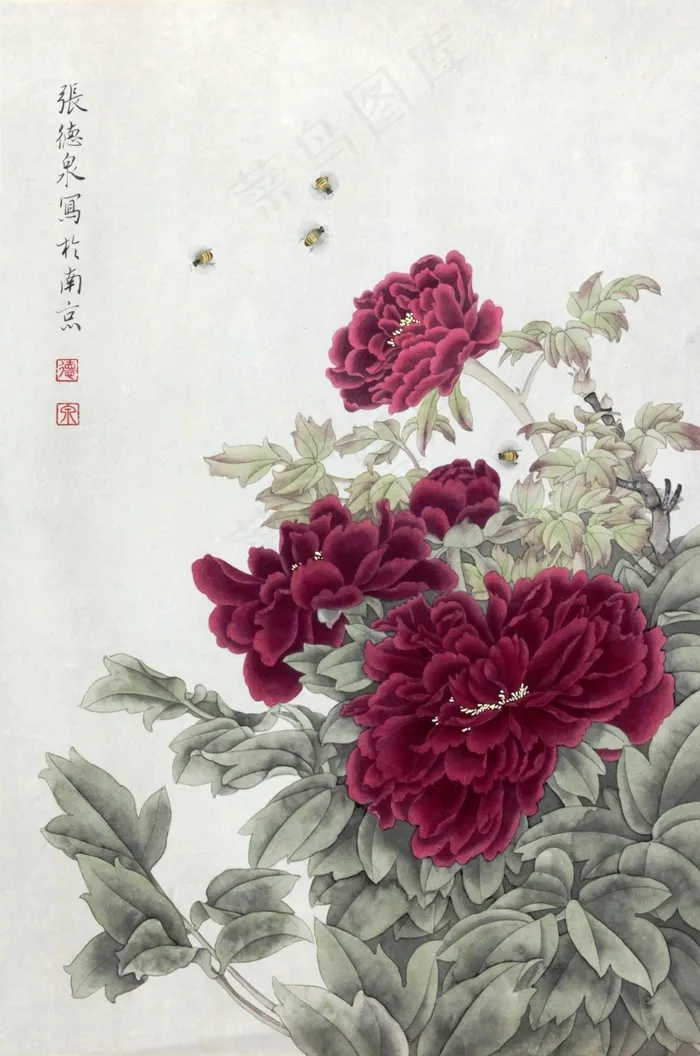 牡丹花图片