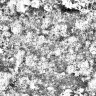 Cantori Hermes al...