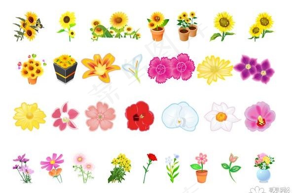 各种植物花卉矢量图3