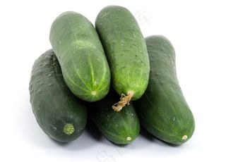 可爱卡通矢量猫