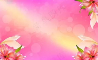 粉色背景图片