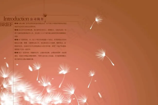简约公司简介画册内页设计