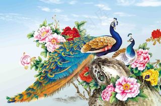 花开富贵孔雀图