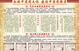 中医宣传栏图片