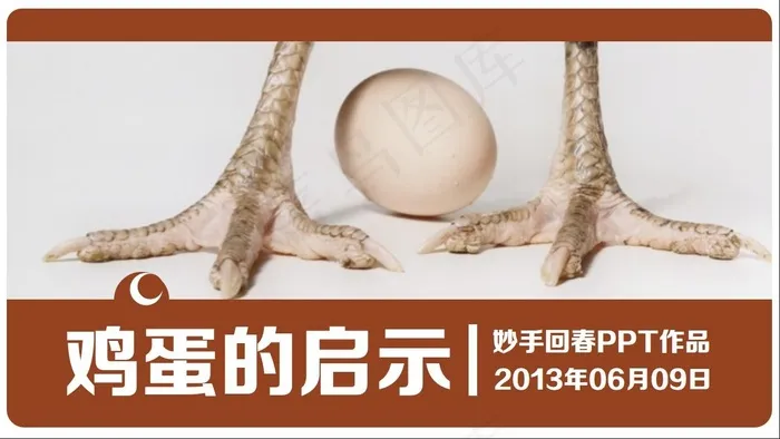鸡蛋的启示PPT模板